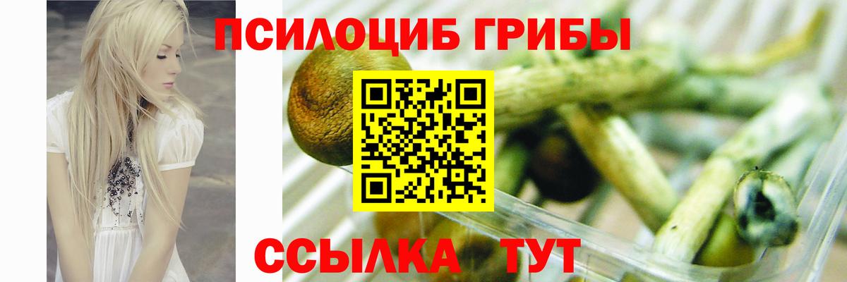 Псилоцибиновые грибы Psilocybe  как найти   Конаково  Псилоцибиновые грибы мухоморы  Вход с VPN 