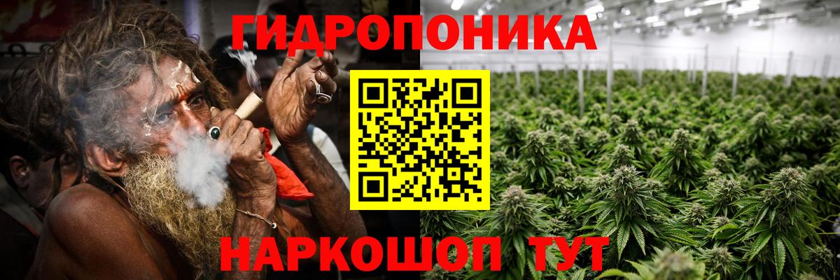Каннабис марихуана  Шишки марихуана марихуана  Бошки марихуана план  Конаково  Вход с VPN 